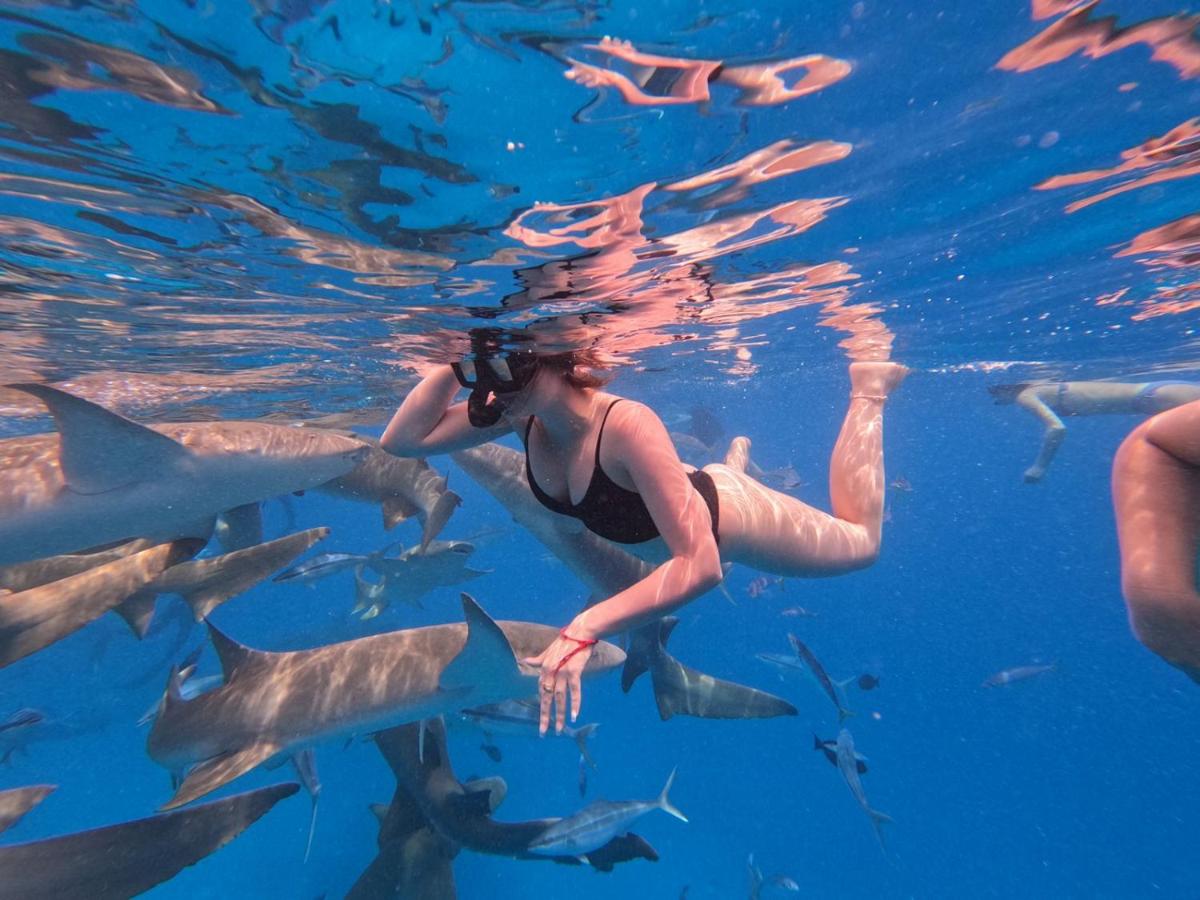 Hulhumale Snorkeling Odyssey